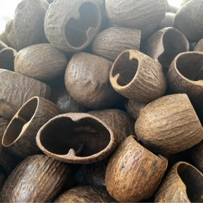 Wholesale Ethnic Style Fruit Shell Water Beads Duck-Shaped Handbells Seed Pendants Vine Half-Handmade DIY Materials China Origin