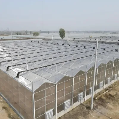 Factory Wholesale Uv Stabilized Greenhouse Film Plastic Greenhouse Film