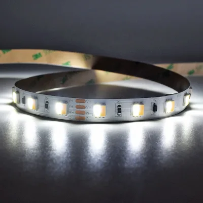 High Quality CCT Led Strip 24v Dimmable 60LEDS/M CCT Led Strip High Lumen 2 in 1 5050 Led Strip