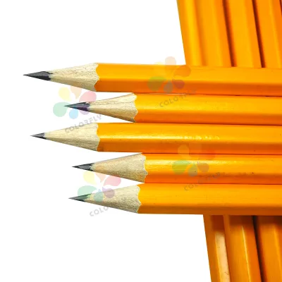 2025 Customized Color High Quality Wood Color Back to School Cheap Price Custom Triangle HB Pencil