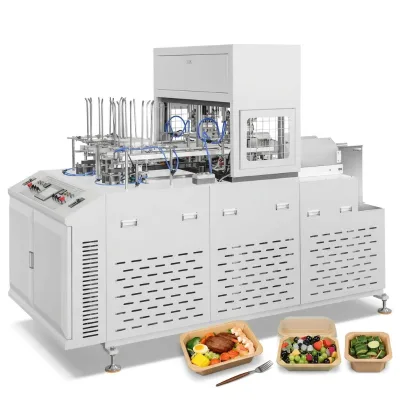 Plastic Free Octagonal Paper Lunch Box Forming Machine for Takeaway Food Packaging