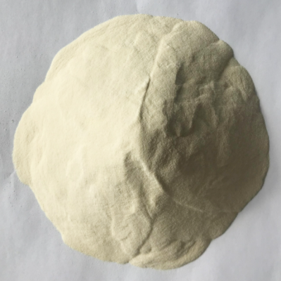 Lactase Enzyme Food Additives CAS 9031-11-2 Food Enzyme
