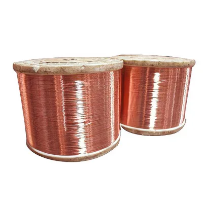 Factory Supply 0.12mm 0.15mm 0.2mm 0.3mm 0.4mm 0.5mm CCAM / CCA / CCS / TCCAM / TCCS Copper-Clad & Tin-Wire for Cables