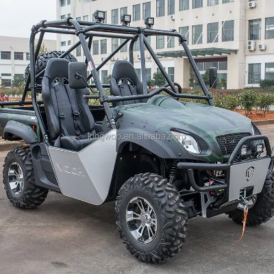 2 Seats Street Legal UTV 4WD 60V Voltage Automatic Transmission EPA Certified