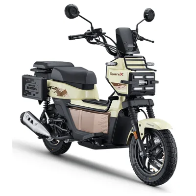 Hot SquareX125 Zoomer X PS250 Scooter