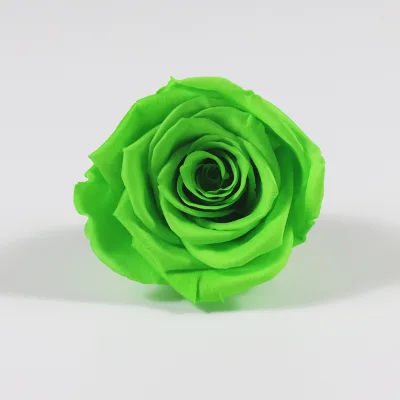 Cheapest a GRADE Green 6 Pcs/box Preserved Rose Head 5-6 cm