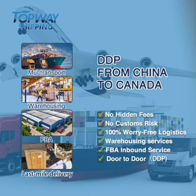 Shipping Agent Freight Agent Cargo Import Forward Shipment Shenzen Sea Cargo Freight Forwarder Agent Shipping Rate