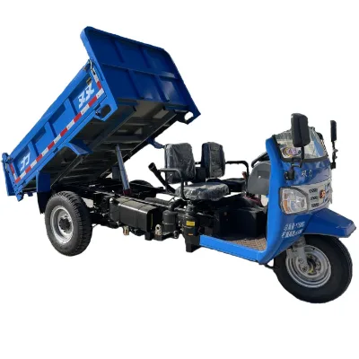 Factory Price Cargo Transportation Use Motorized Tricycle Load 0-3 MT 28 HP 2 Seats OEM/ODM Supported 3 Wheel Diesel Tricycle