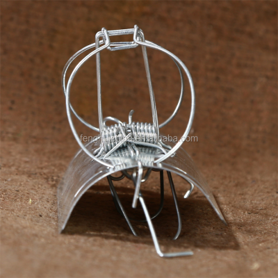 Effective Large Mouse Traps