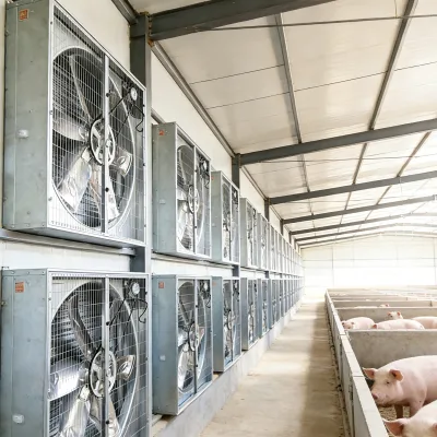 54 Inch Steel Axial Flow Ventilation Exhaust Fan Wall Mounted Box Type Industrial Air Extractor for Poultry Greenhouse Cooling