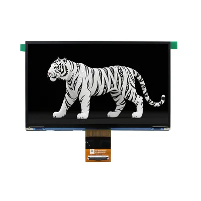 Huaxin Guangdong Large 10.1 Inch 12K Monochrome TFT Display MIPI DSI Interface 51 Pin Industrial Grade High Resolution OEM/ODM