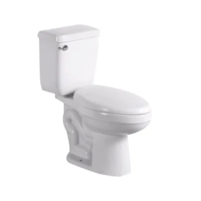 Modern Luxury Two-Piece Ceramic Toilet with Concealed Tank and Remote Control Dual-Flush Siphonic for Hotels