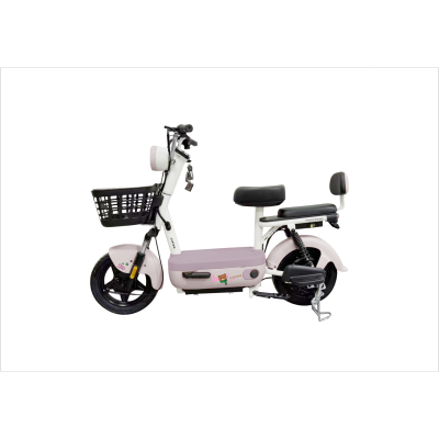 E Bike Electric Bicycle 48v 12AH 20AH Battery Steel Electric Bicycles