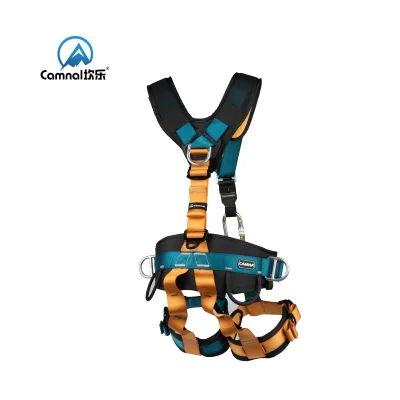 Camnal High Strength 22KN Polyester Steel Safety Belt Adjustable Length Steel D-Ring Pass-Through Buckle for Tree Climbing Rock