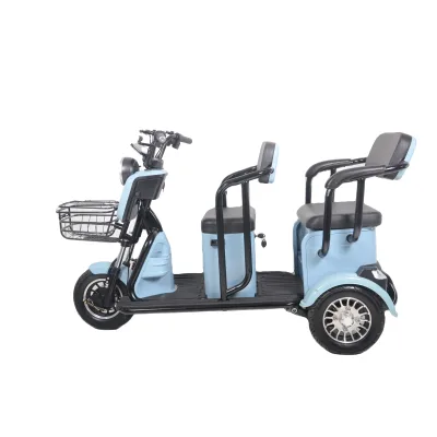 Mobility Electric Vehicle Electric Tricycle Cargo Tricycle Electric Three Wheel Mini Scooter Manned Electric Tricycle E Trike