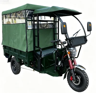 Heavy Duty Electric Three Wheel Cargo Trike Space Stable Damping System for Farm Supplies and Short Haul Material Transportation