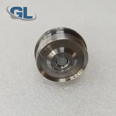VE Head Plug 096417-0040 096566-0011 for Diesel Engine