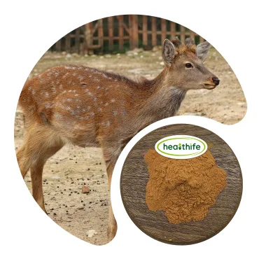 Healthife Health Supplement Non-GMO Deer Kidney Powder with High Protein