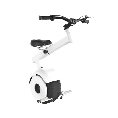 One Wheel Electric Motorcycle 800W Electric Scooter Single Wheel Monociclo Unicycle 60km Removable Intelligent Brushless Motor