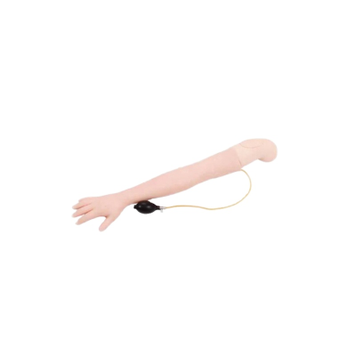 Medical Science Training Model for Arterial Puncture and Intramuscular Injection
