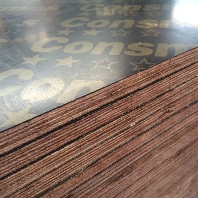 Engineered Wood Panels with Film Faced Surface for Formwork Applications