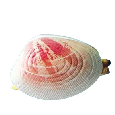 Hot Selling Simulated Clam Mini Funny Water Gun Toy Creative Trick Shell Playful Water Spray Toy