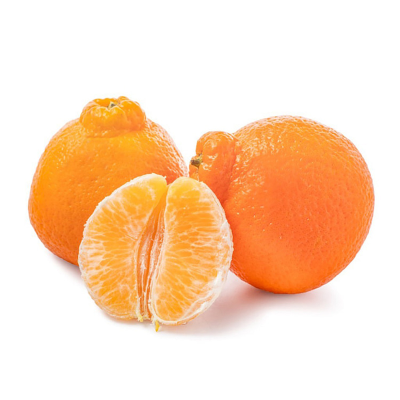 Seedless Seasonal Bumpy Mandarin for Export
