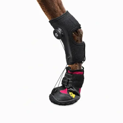 Innovative Dog Paw Brace for Dragging Paw FD901 Custom Fit Canine Carpal Splint for ACL Support & Hock Joint Relief