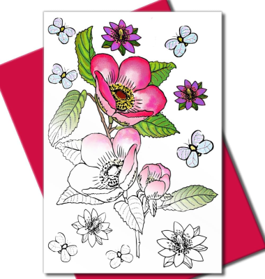 Birthdays, Anniversaries, Thank You Cards & Sympathy Cards, Adult Colorful Flower Greeting Cards (10 Cards & 10 Envelopes)