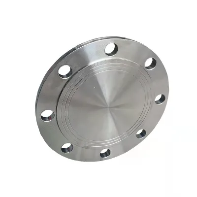Custom Flange Bearing Pipe Fittings Flange Gasket for Creating Leak Proof Seals