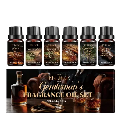 Factory Wholesale Indoor Air Fresh Atmosphere Fragrance Home Diffuser Daily Men's Aromatherapy Essential Oil Set