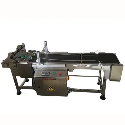 whosale counting conveyor stainless paging machine automatic