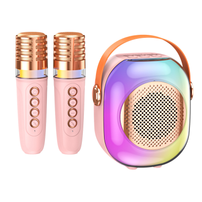Karaoke Speaker Portable Karaoke Machine with Wireless Microphones All-in-one Speaker for Kids for Indoor Outdoor