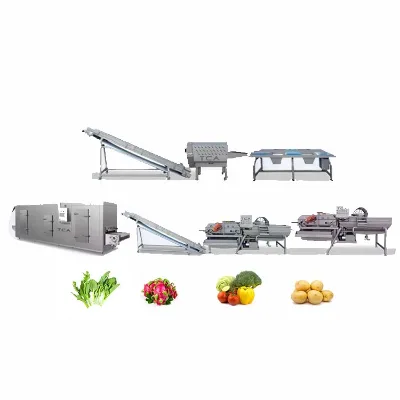 Customizable Fruit and Vegetable Washer Sort Wax Drying Line New Condition Exclusive for Vegetables