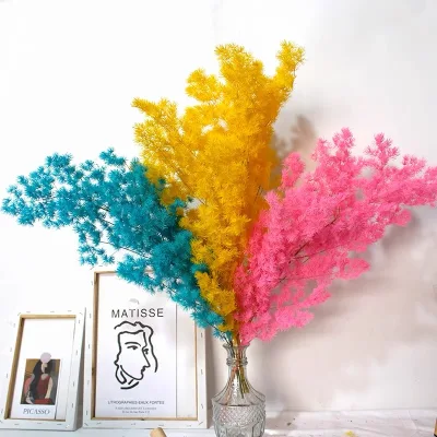Factory Preserved Flowers Ming Ferns Asparagus Myrioeladus for Home /wedding Decoration