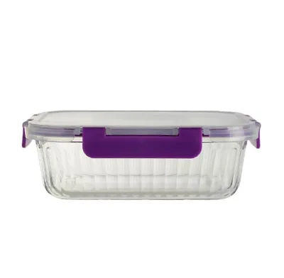 Rectangle High Borosilicate Glass Storage Containers with Lids