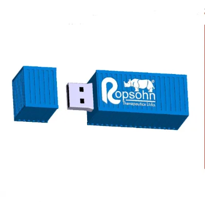 Custom Shape Usb Flash Drive Container PVC USB Pendrive 2.0flash Memory Usb 4gb