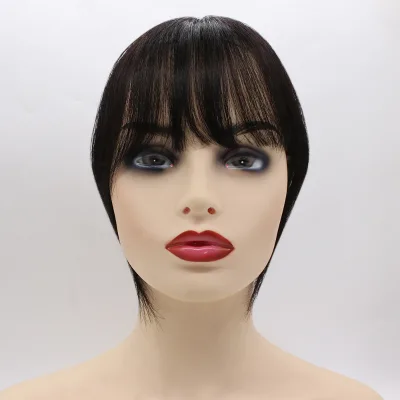 Changshunfa Wholesale Hair Bangs Hairpiece Bang Human Hair Extensions Clip in Hairpiece Fringe for Women