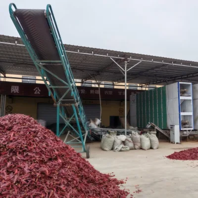 Chili Destemming Equipment for Factories 95% Success Rate, Dry/Wet Processing