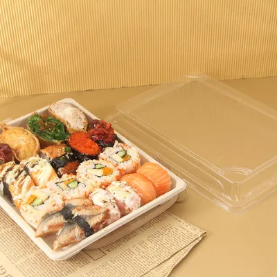 Factory Direct Supply Plastic Food Container Storage Boxes Regular Sushi Tray Biodegradable Food Plates Sushi