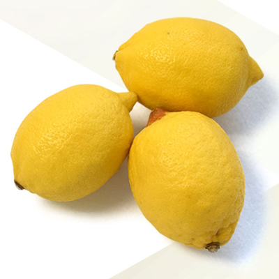 Fresh Fruits Wholesale Best Price Fresh Citrus Fruit Lemon