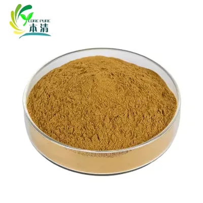 High Quality Platycodon Grandiflorum Extract Platycodon Root Extract Powder