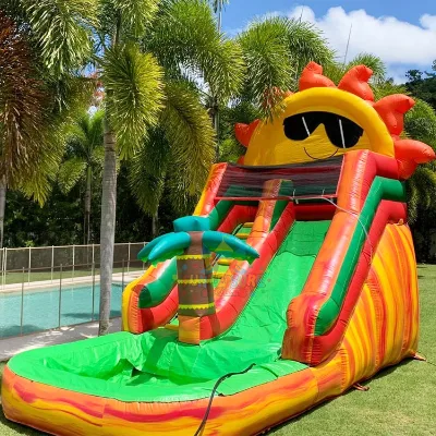 Commercial Grade Kids Backyard Party Jumpers Casas De Brinco Inflatable Sunshine Water Slides