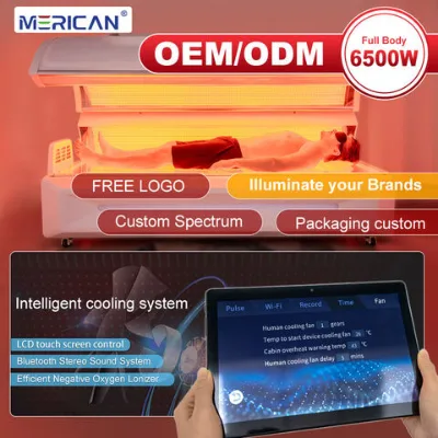 Merican Customized Commercial Whole Body Red Light Physiotherapy Machine 660nm 850nm LED Red Light Therapy Machine