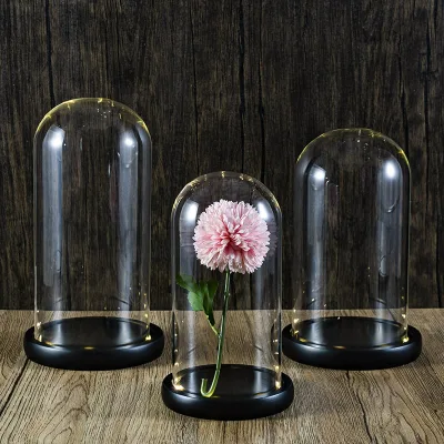 Preserved Roses in Glass Dome Rose Glass Dome Led Glass Dome Jar