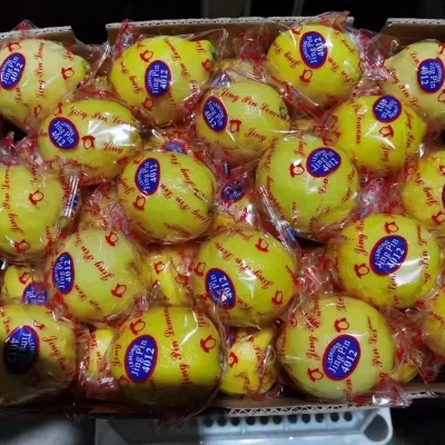 Chinese High Quality Yellow Lemon