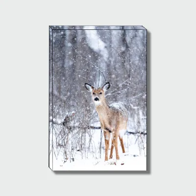 Nice Quality Outdoor Stree Wall Paintings Art on Stretched Canvas