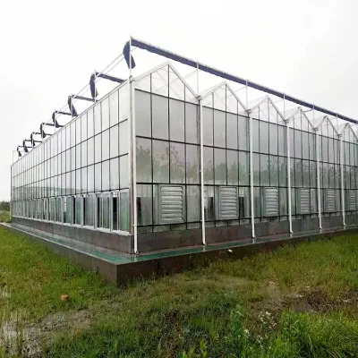 Commercial Greenhouses Designed for High-Volume Flower Production and Market Expansion for Floriculture Businesses