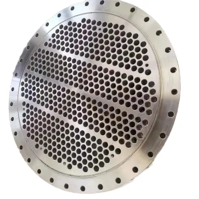 High Strength F51 S31803/1.4462  Forged Tube Sheet TUV Approved For Pressure Vessel