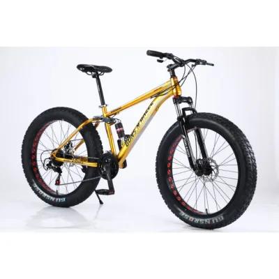Sport Trend Model Lightweight 21-speed Hollow Wheel Full Shock-absorbing Bicycle